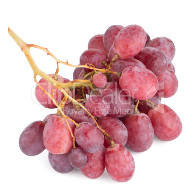 Bunch of red grapes