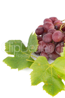 Bunch of red grapes