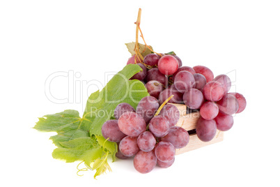 Bunch of red grapes