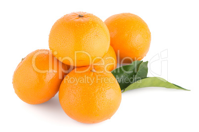 Ripe tangerine or mandarin