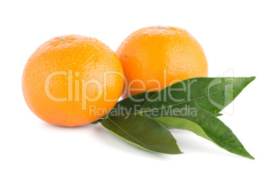 Ripe tangerine or mandarin