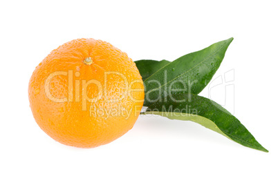 Ripe tangerine or mandarin