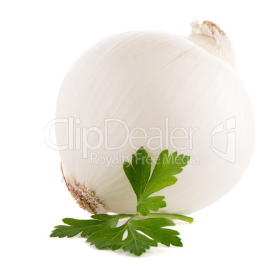 Onion and parsley