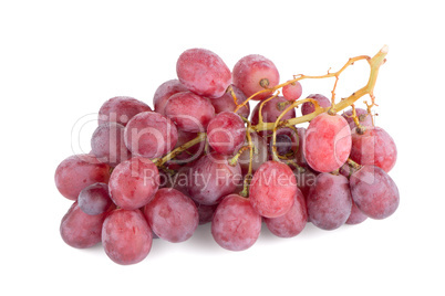 Bunch of red grapes