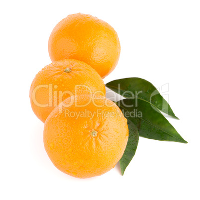 Ripe tangerine or mandarin