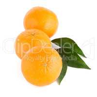 Ripe tangerine or mandarin