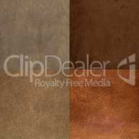 Set of brown leather samples