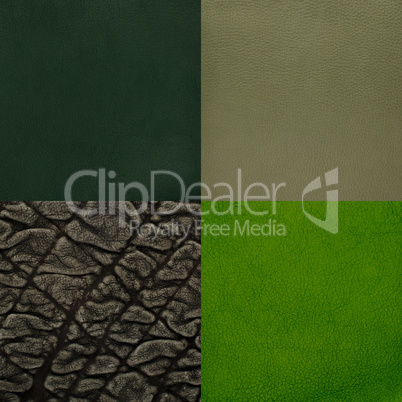 Set of green leather samples