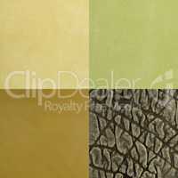 Set of green leather samples