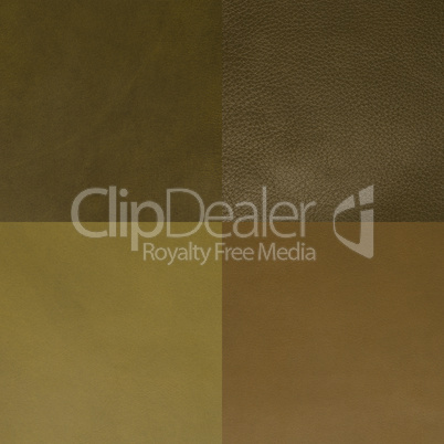 Set of green leather samples