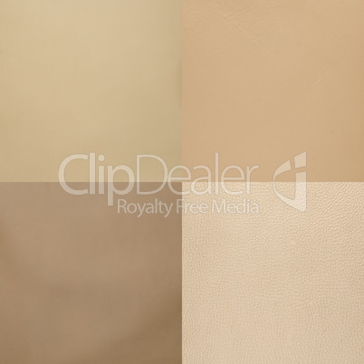 Set of beige leather samples