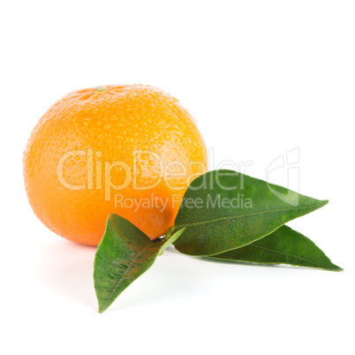 Ripe tangerine or mandarin