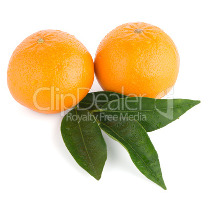 Ripe tangerine or mandarin