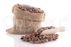 Pinto beans bag