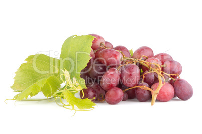 Bunch of red grapes