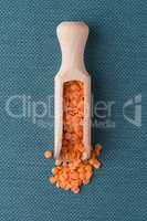 Wooden scoop with  peeled lentils