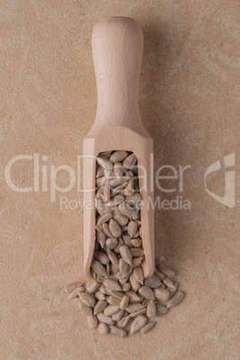 Wooden scoop with shelled sunflower seeds