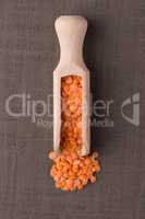 Wooden scoop with  peeled lentils