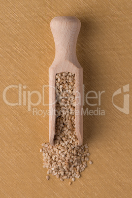 Wooden scoop with sesame seeds