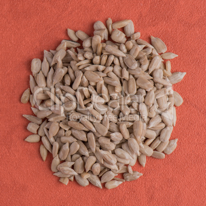 Circle of shelled sunflower seeds