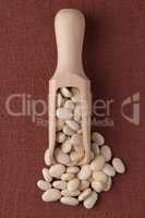 Wooden scoop with white beans