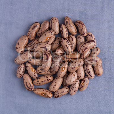 Circle of pinto beans