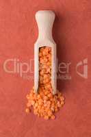 Wooden scoop with  peeled lentils