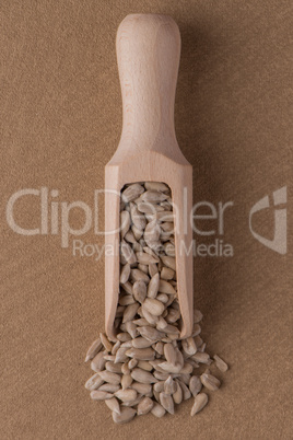 Wooden scoop with shelled sunflower seeds