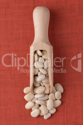 Wooden scoop with white beans