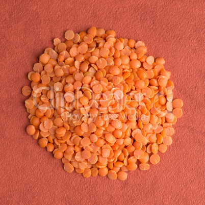 Circle of shelled sunflower seeds