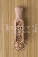 Wooden scoop with sesame seeds