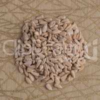 Circle of shelled sunflower seeds
