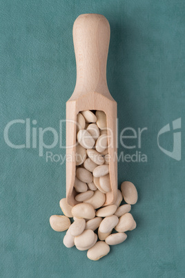 Wooden scoop with white beans