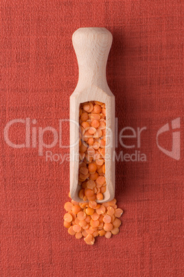 Wooden scoop with  peeled lentils