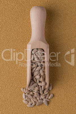 Wooden scoop with shelled sunflower seeds