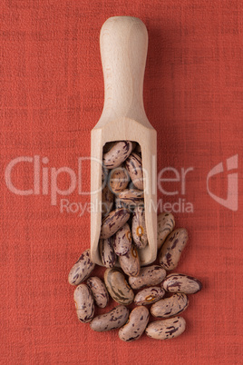 Wooden scoop with pinto beans