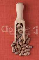 Wooden scoop with pinto beans