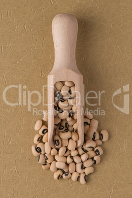 Wooden scoop with white beans