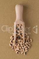 Wooden scoop with white beans