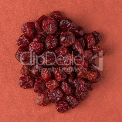 Circle of dried cranberries