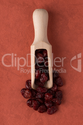 Wooden scoop with dried cranberries