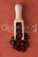 Wooden scoop with dried cranberries