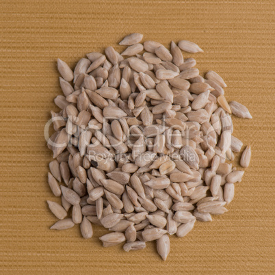 Circle of shelled sunflower seeds