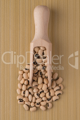Wooden scoop with white beans Wooden scoop with white beans