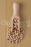 Wooden scoop with white beans