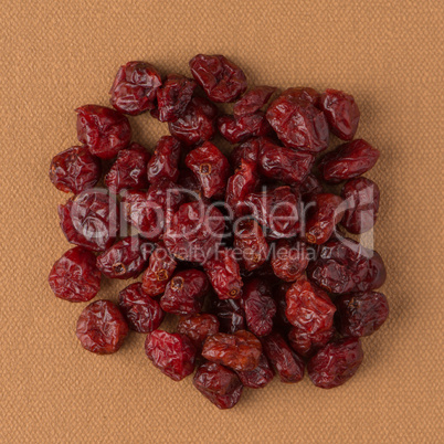 Circle of dried cranberries