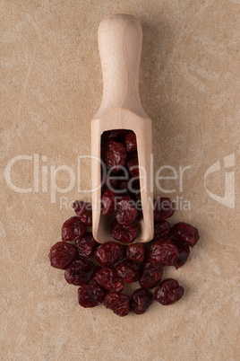 Wooden scoop with dried cranberries