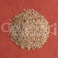 Circle of sesame seeds