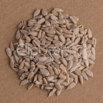 Circle of shelled sunflower seeds