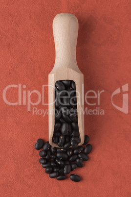 Wooden scoop with black beans